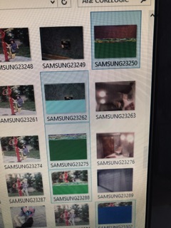 IMG_3197.jpeg